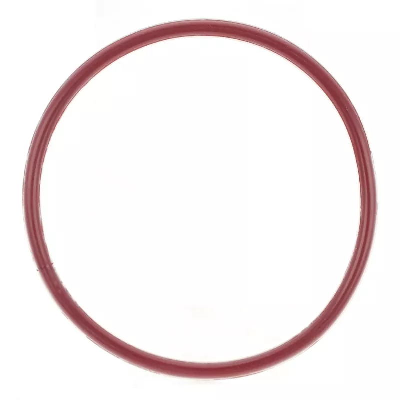 Cincin O Berkapsul FEP/PFA
