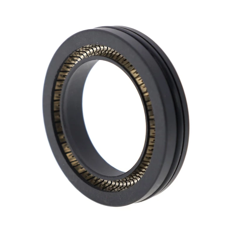 PTFE Spring-Energized Seal untuk Rotary